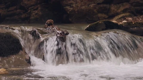 Mountain river flows among the rocks. Fast mountain river, close-up. Video stock 114658372