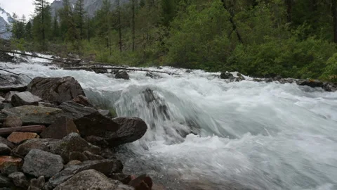 The mountain river flows among the rocks. Stock Footage 159159794