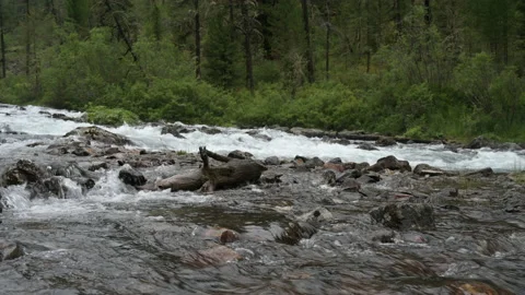 The mountain river flows among the rocks. Stock Footage 159160019