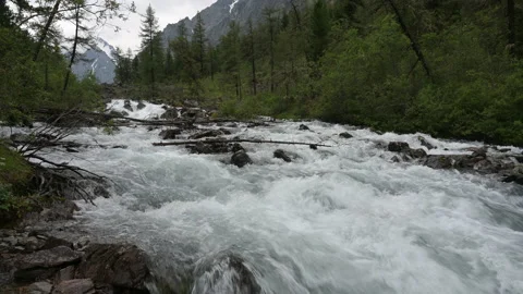 The mountain river flows among the rocks. Stock Footage 159160117
