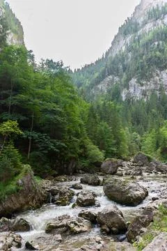 A mountain river flows between large rocks Stock Photos