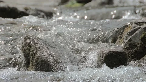 Mountain river flows between mossy rocks Stock Footage 145889877