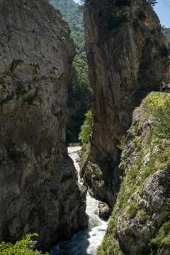 Mountain river flows between rocks in summertime. Fast waterway through gorge on Stock Photos
