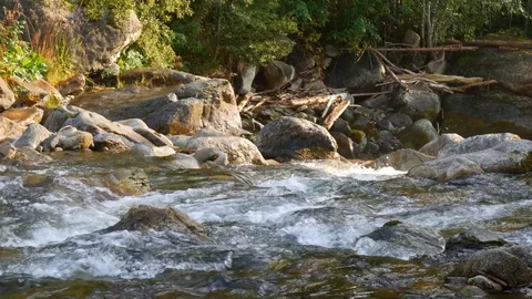 Mountain river flows between the stones Video stock 79749886