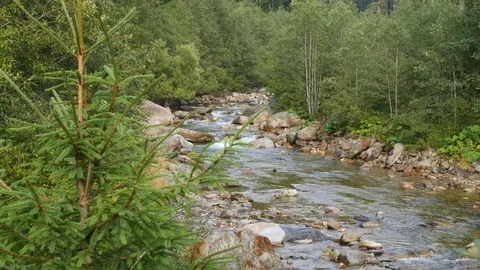 Mountain river flows between the stones Stock Footage 79749925
