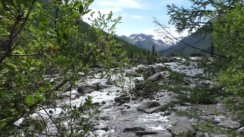 Mountain river flows between the stones Stock-Footage 108271073