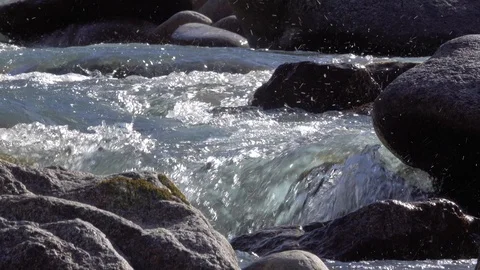 Mountain river flows between the stones 動画素材 116558380