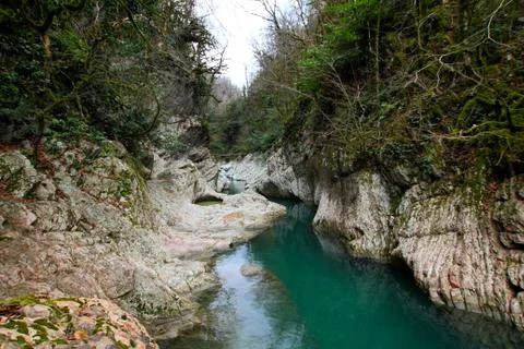 A mountain river flows in a canyon. Stock Photos