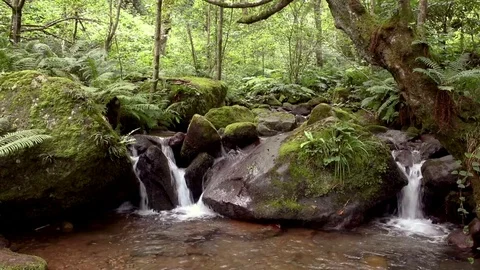 Mountain river flows down from  rocks with small waterfalls 스톡 동영상 80638093