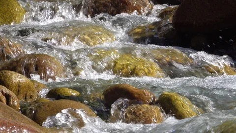 Mountain river flows down the stones Stock Footage 116558388