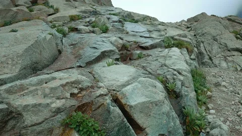 Mountain river flows down the stones Stock Footage 159473297