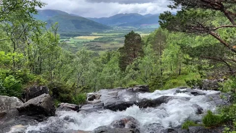 A mountain river flows down through the forest Stock Footage 309140968
