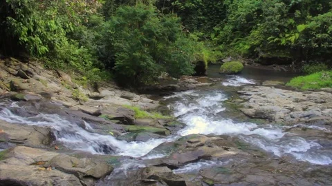 The mountain river flows Stock Footage 77079767