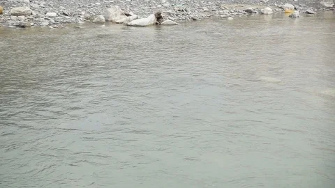 Mountain river flows Stock Footage 87289552