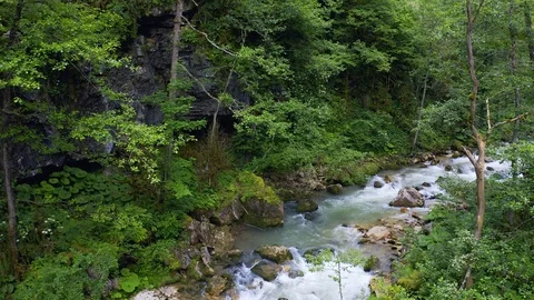 A mountain river flows in the forest, between green trees, drone shooting Video stock 120305300