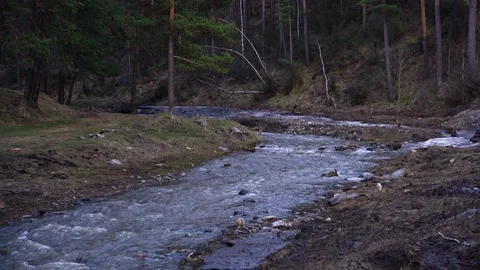 The mountain river flows from the forest Video stock 89143404