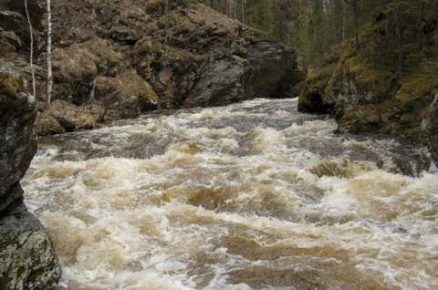 A mountain river flows in a forest gorge Stock Photos