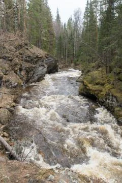A mountain river flows in a forest gorge Foto stock