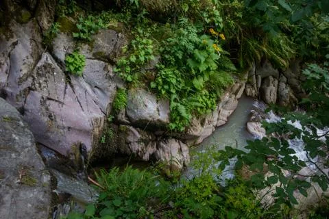 Mountain river flows into the gorge in summer. Foto stock