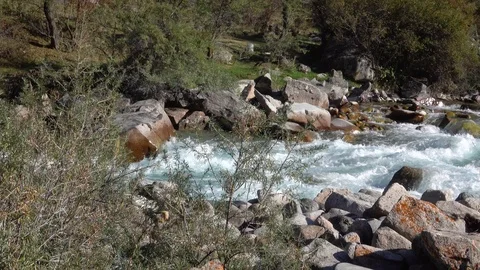 Mountain river flows high in the mountains 動画素材 116558845