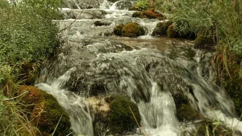 A mountain river flows over moss-covered rocks. Stock Footage 160317627