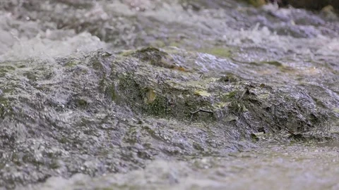 Mountain river flows over rocks Video stock 259742694