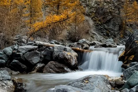Mountain river flows over the rocks. The rivers are altai. Nature is altai. Stock Photos