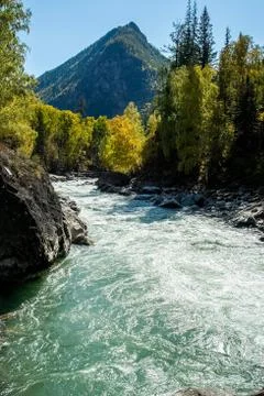 Mountain river flows over the rocks. The rivers are altai. Nature is altai. Stock Photos