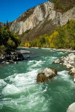 Mountain river flows over the rocks. The rivers are altai. Nature is altai. Stock Photos