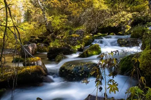 Mountain river flows over the rocks. The rivers are altai. Nature is altai. Stock Photos