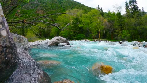 Mountain river flows over the stones 스톡 동영상 243376986