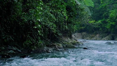 Mountain river flows over wet boulders among tropical jungle. Amazing riverscape Video stock 75007942