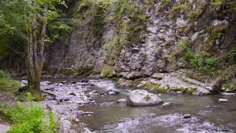 The mountain river flows rapidly 4k Video stock 80401603