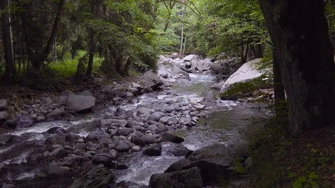 The mountain river flows rapidly in the afternoon among the trees 스톡 동영상 80405469