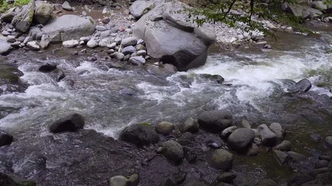 The mountain river flows rapidly in the afternoon among the trees slow Stock Footage 80406253