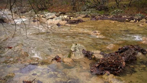 Mountain river flows rapidly along a rocky channel through an autumn forest Stock Footage 149062671