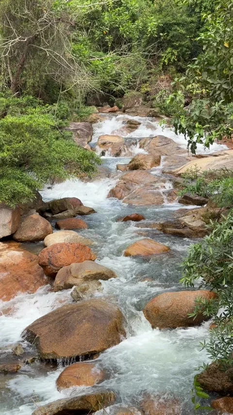 Mountain river flows rapidly between large rocks, with green shrubs and trees Stock Footage 327460366