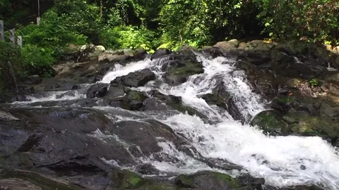 Mountain river flows rushing down the rocks skirting the trees in slow motion Stock Footage 248531429