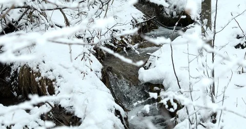 Mountain River Flows In The Snow-Covered Forest Vídeos de archivo 123962921