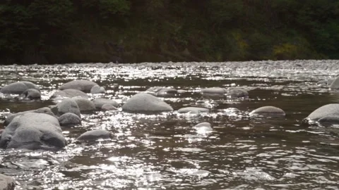 Mountain river flows, spring floods, flooding Stock Footage 239849370