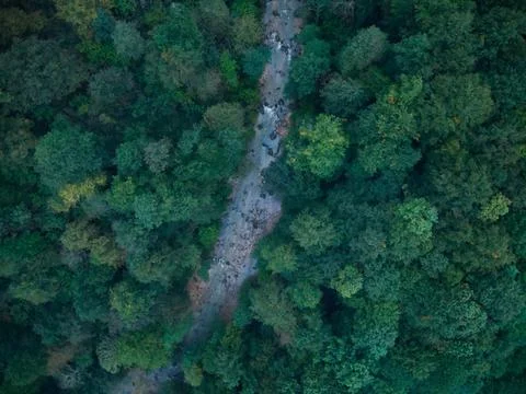 A mountain river flows through the forest photo from a drone from above Stock Photos