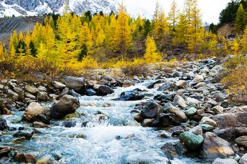 A mountain river flows through the forest like a waterfall. Stock Photos