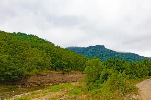 Mountain river flows through the forest Stock Photos