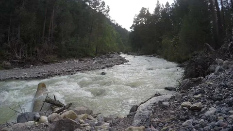 Mountain river flows through the green forest Stock Footage 118600648