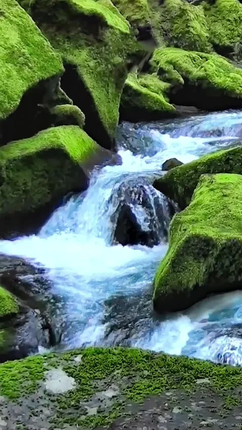 Mountain river flows through moss rocks. Video stock 335735822
