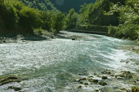 The mountain river flows through a natural landscape with green trees. Stock Photos