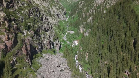 Mountain river flows through rocky gorge and lush forest Vídeos de archivo 312443708