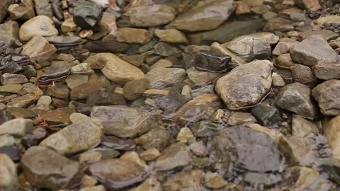Mountain river flows through stones Stock Footage