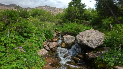 Mountain river flows through stones Video stock 282349573