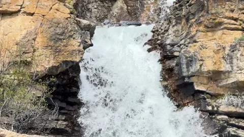 Mountain river flows through trees in landscape with snow-capped peaks  Stock Footage 338284828